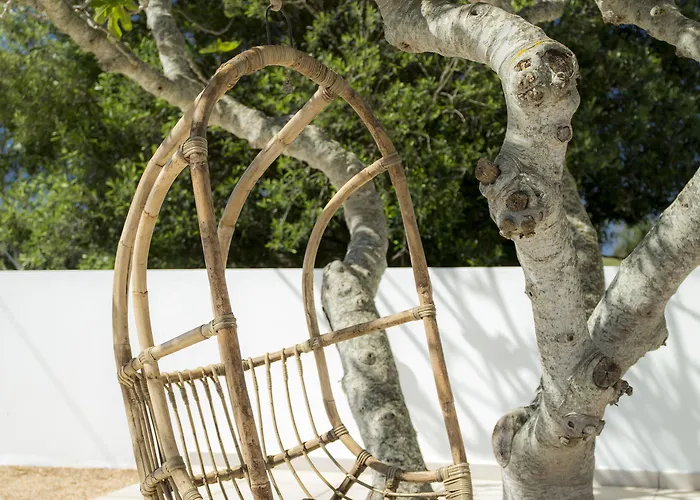 Bed & Breakfast Casa Luisandra Boutique Luz