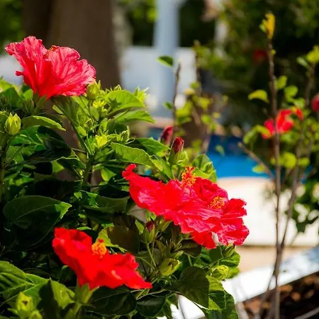 Casa Luisandra Boutique 4* Luz
